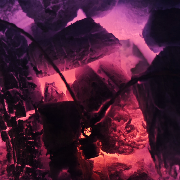 Ritual Fortuna